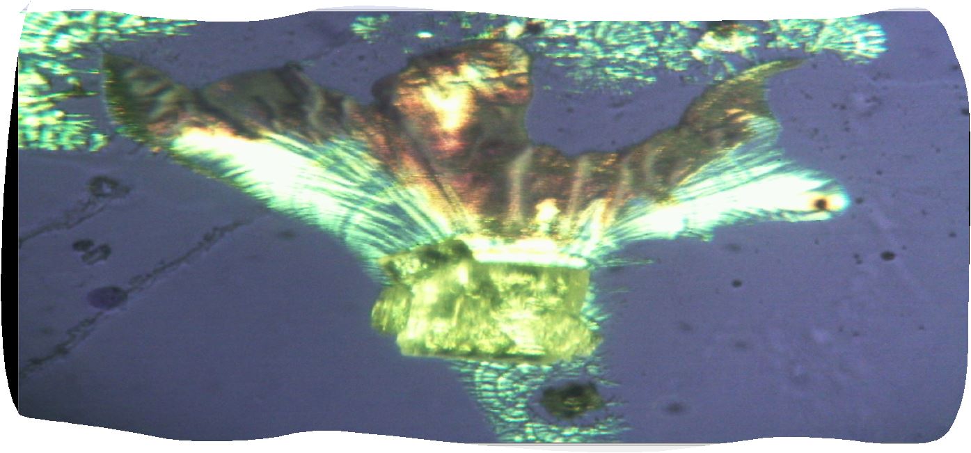 un esplosione di colori!!